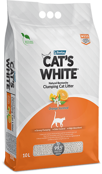 CatsWhite_10L_Orange_1